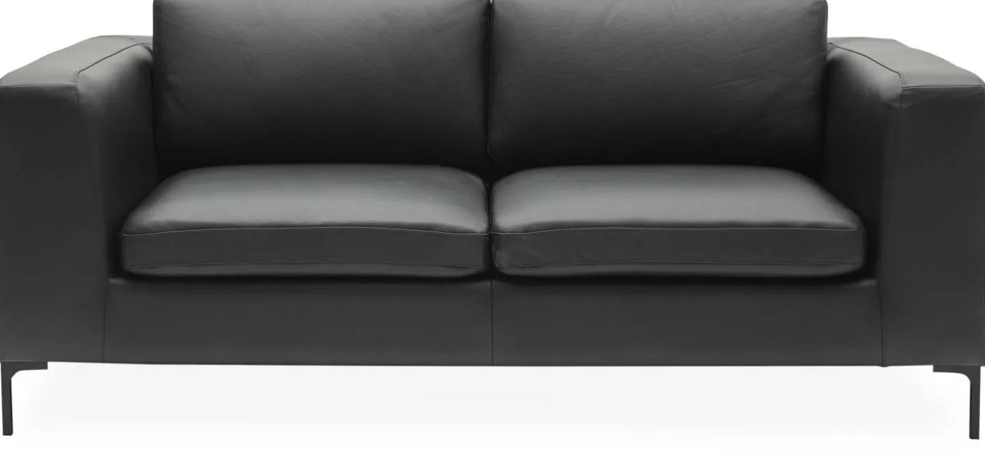 Abraham 2½ sits Soffa