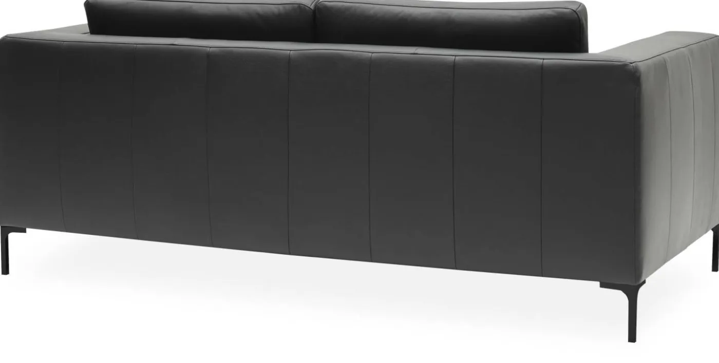 Abraham 2½ sits Soffa