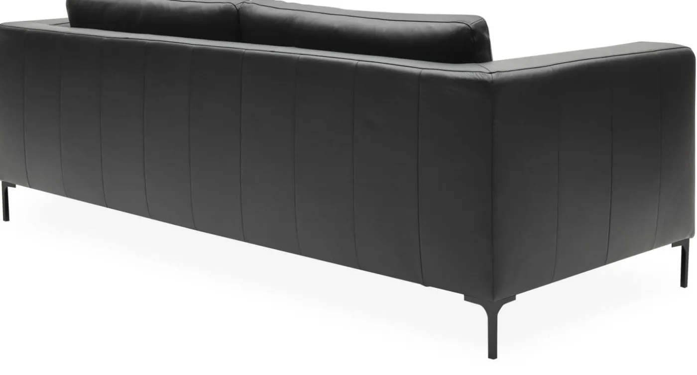 Abraham 3 sits Soffa