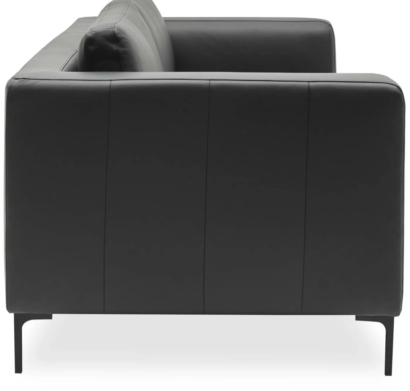 Abraham 3 sits Soffa