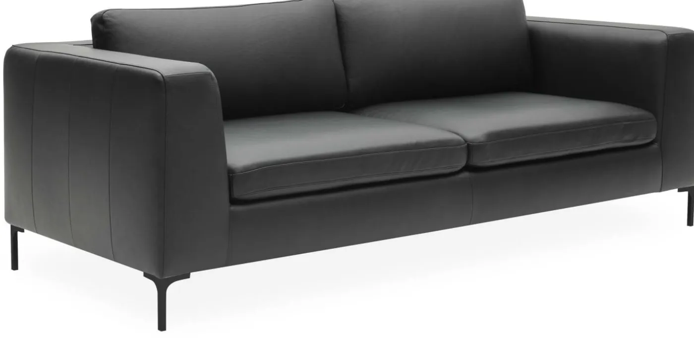 Abraham 3 sits Soffa