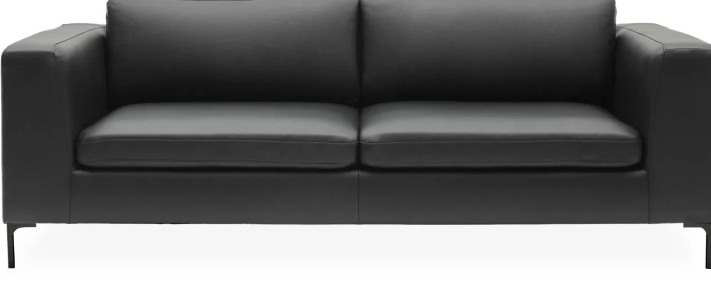 Abraham 3 sits Soffa