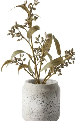 Alesso blomkruka 14 x 14 cm