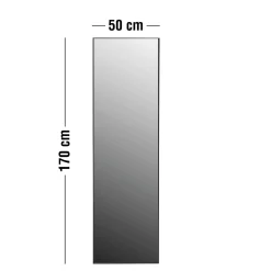 Cansu 50 x 170 x 3 cm spegel