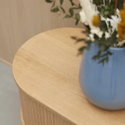Focus TV-möbel