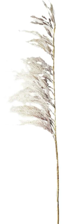 Pampas konstgjord växt 125 cm