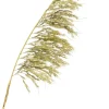 Pampas konstgjord växt 125 cm